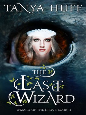 cover image of The Last Wizard